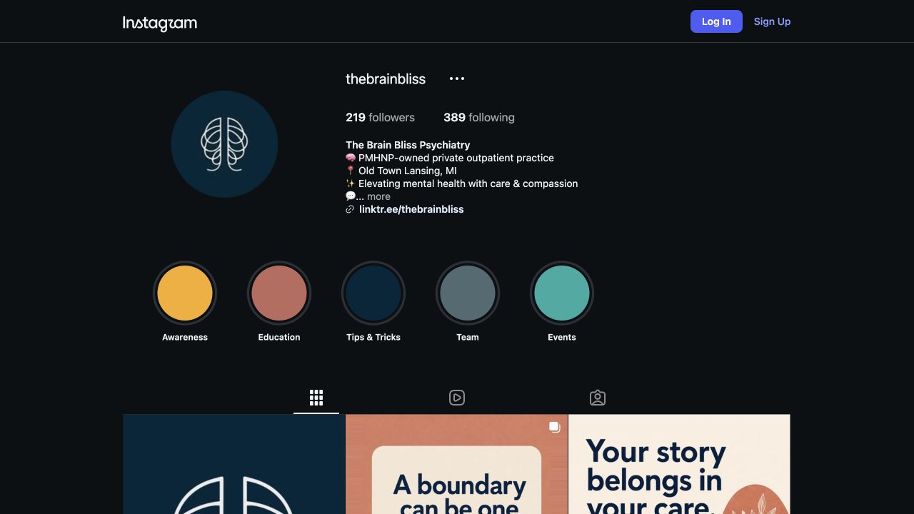 The Brain Bliss Instagram profile with coordinated highlight covers and branded educational posts